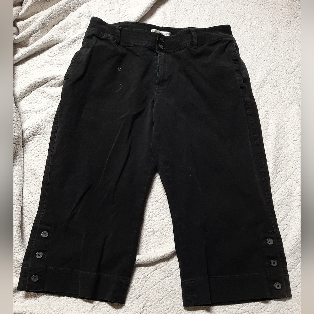 Coldwater Creek women's pants size 14P
